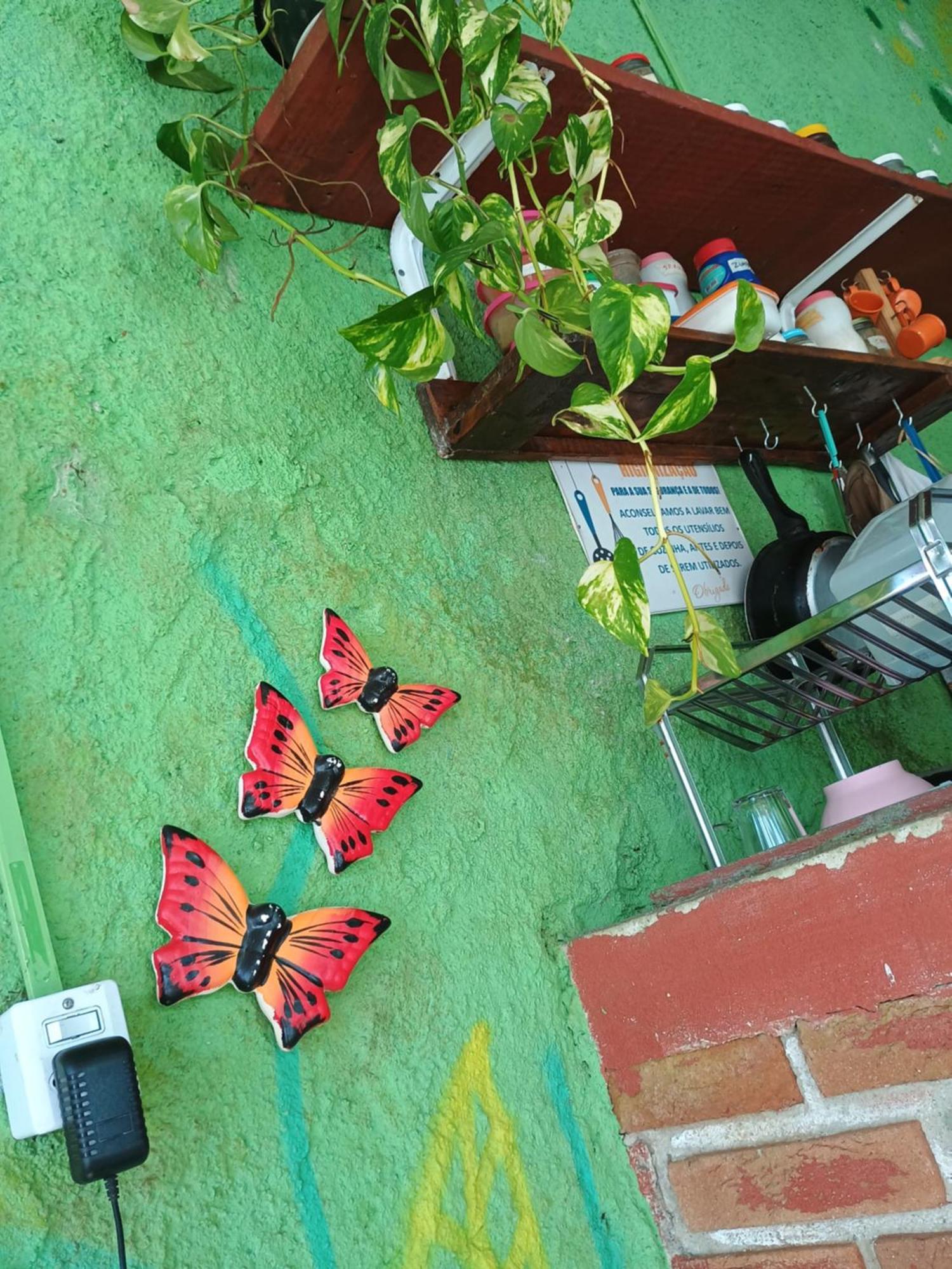 Renovo Beija-Flor Hostel E Espaco Terapeutico Бертиога Экстерьер фото