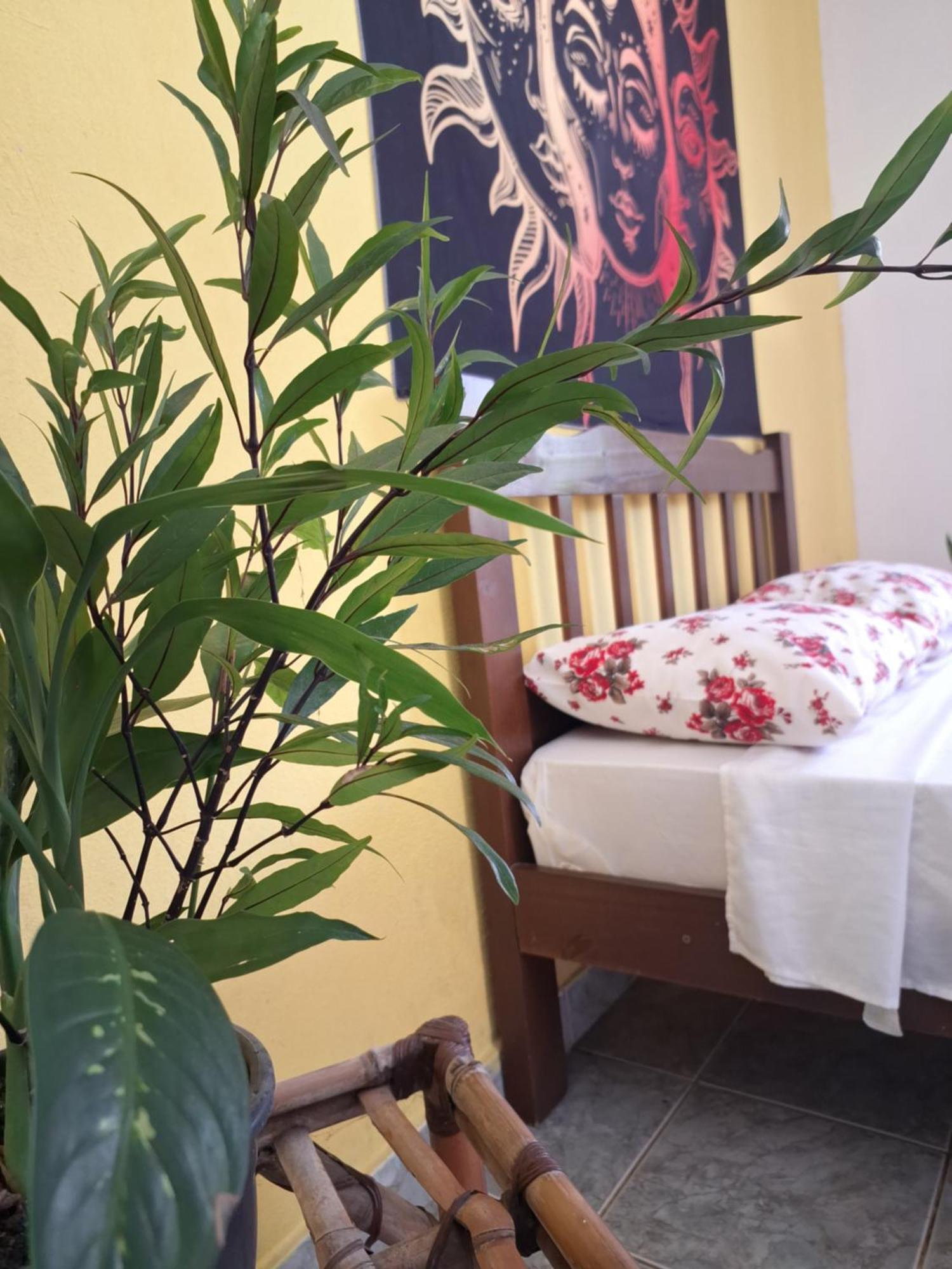 Renovo Beija-Flor Hostel E Espaco Terapeutico Бертиога Экстерьер фото